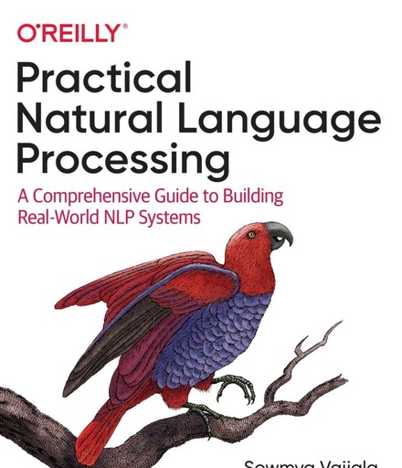 Practical Natural Language Processing
